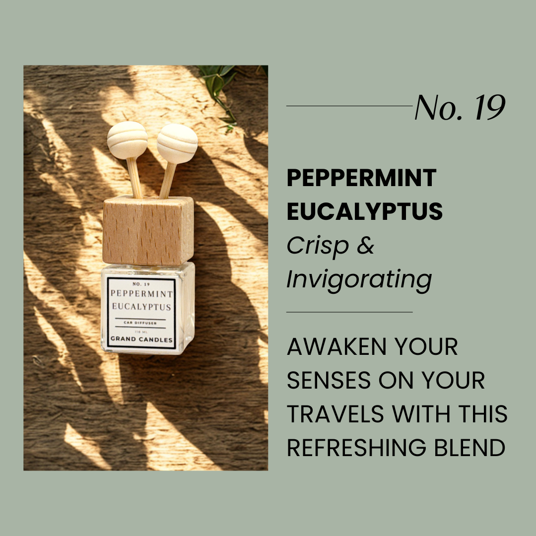 Peppermint Eucalyptus Car Diffuser