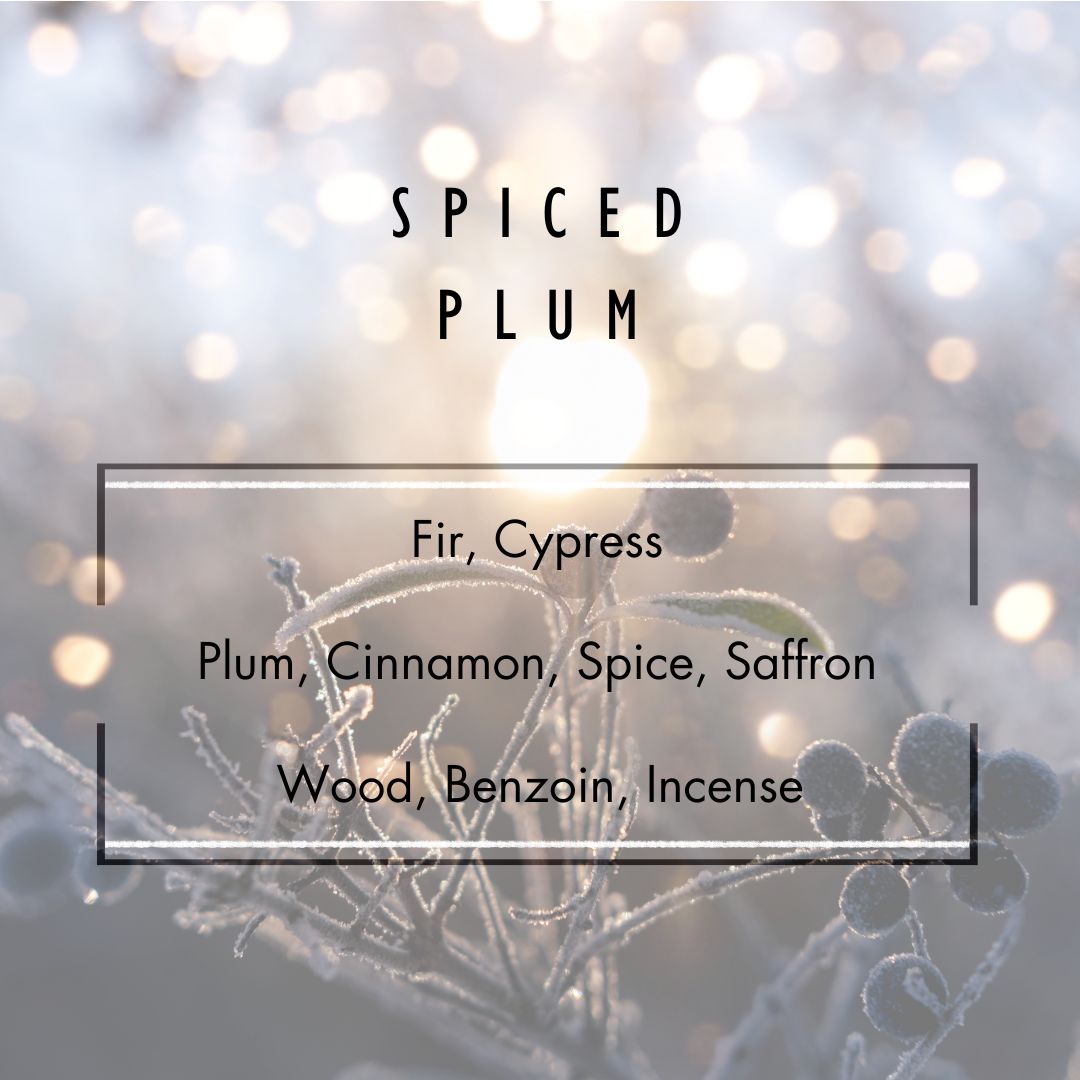 Spiced Plum Reed Diffuser