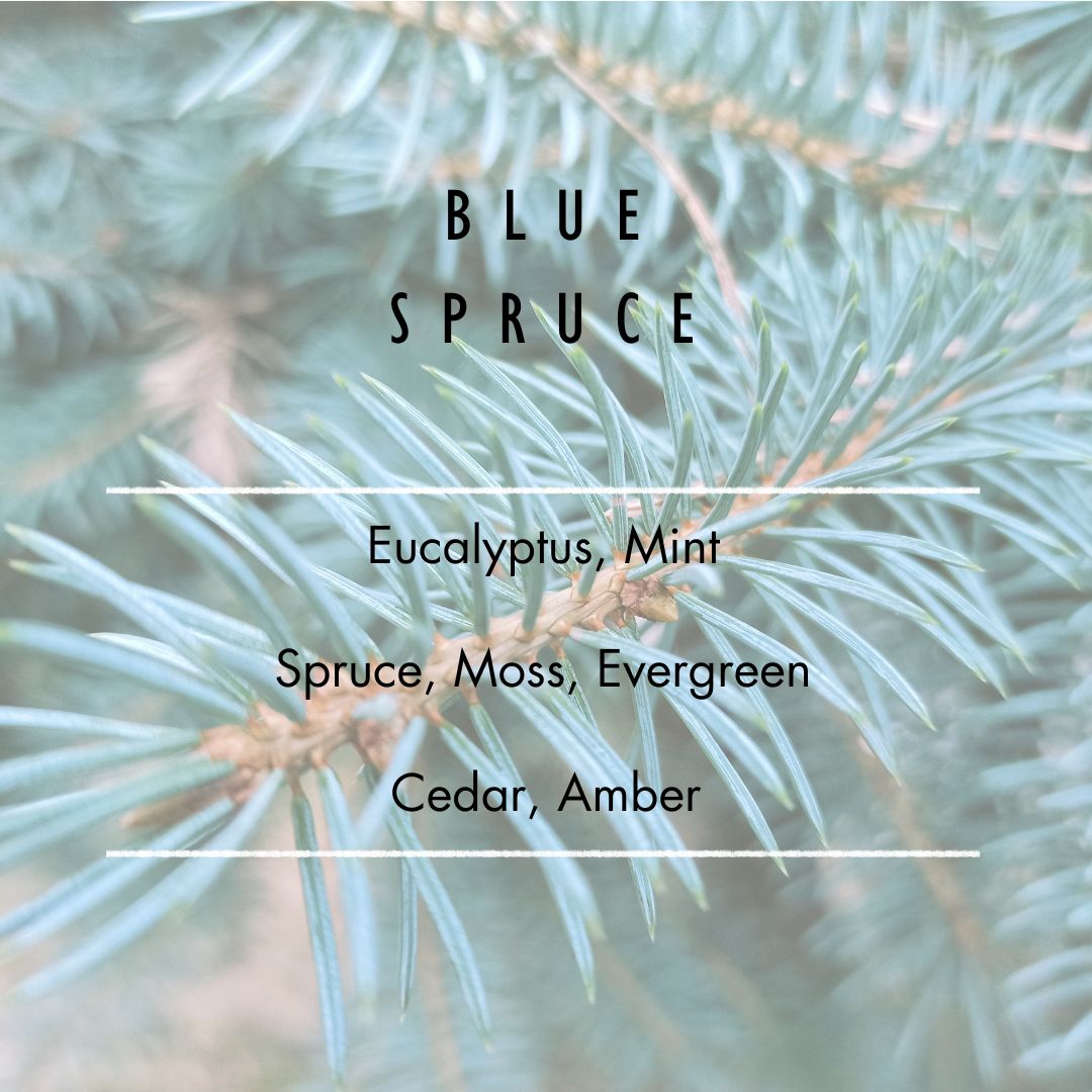 Glow & Refresh Gift Set - BLUESPRUCE - GLOW+REFRESH Grand Candles