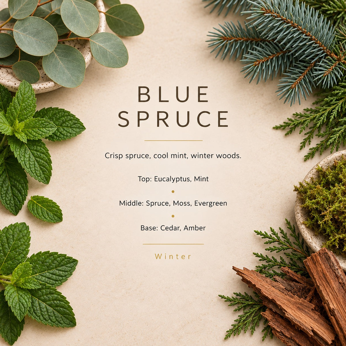 Blue Spruce fragrance artwork — Grand Candles