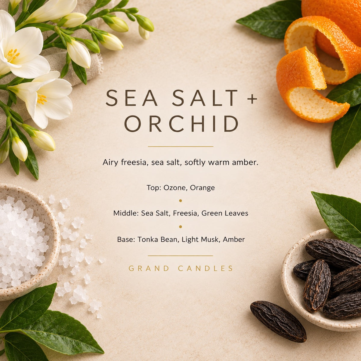 Sea Salt + Orchid fragrance artwork — Grand Candles