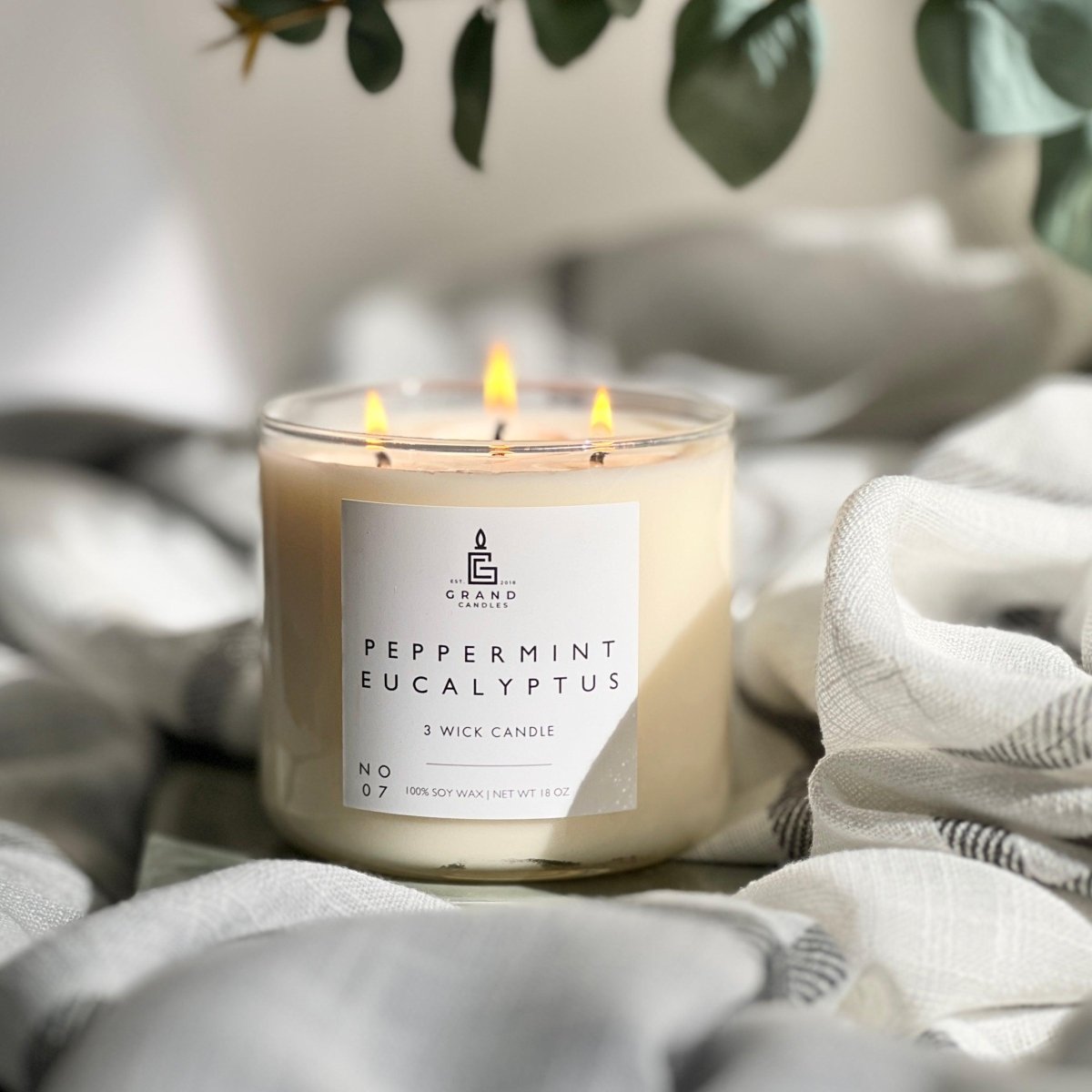 Peppermint Eucalyptus Candle - EUCALYPTUS - 18 - CLR Grand Candles