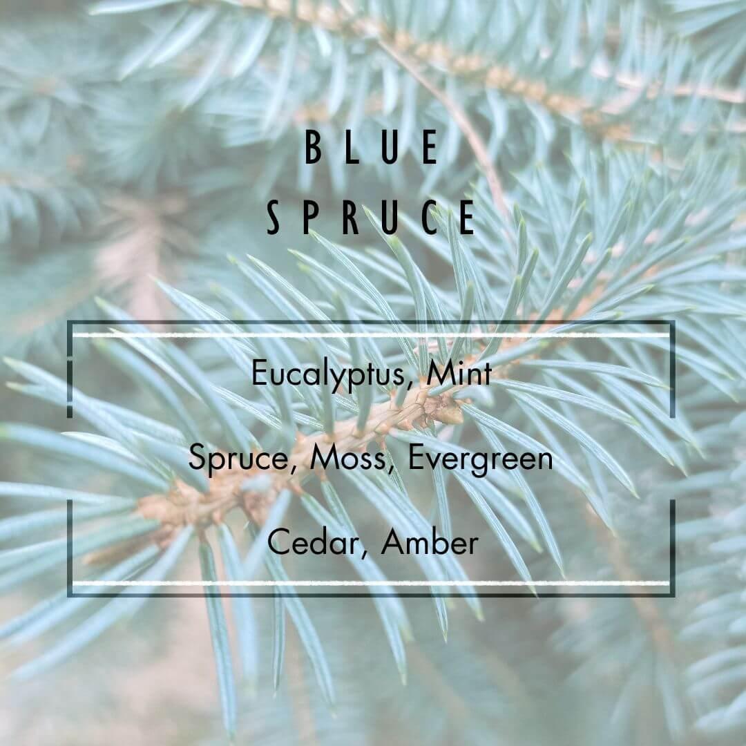 Blue Spruce Reed Diffuser  - Grand Candles LLC   