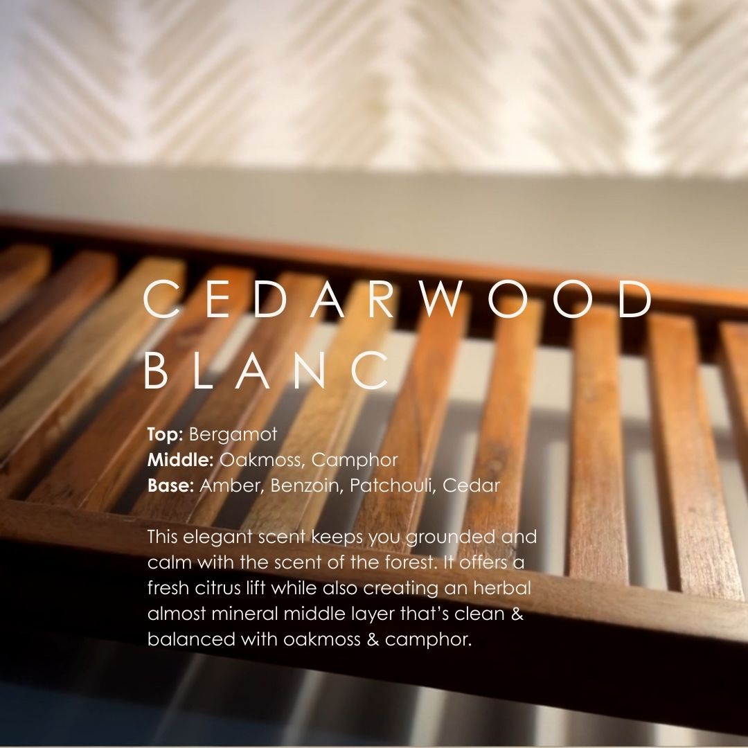 Cedarwood Blanc Reed Diffuser