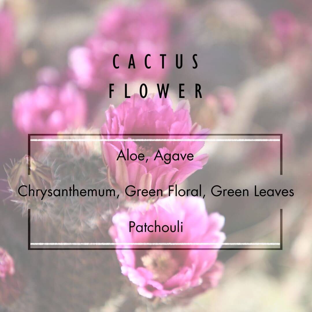 Cactus Flower Reed Diffuser