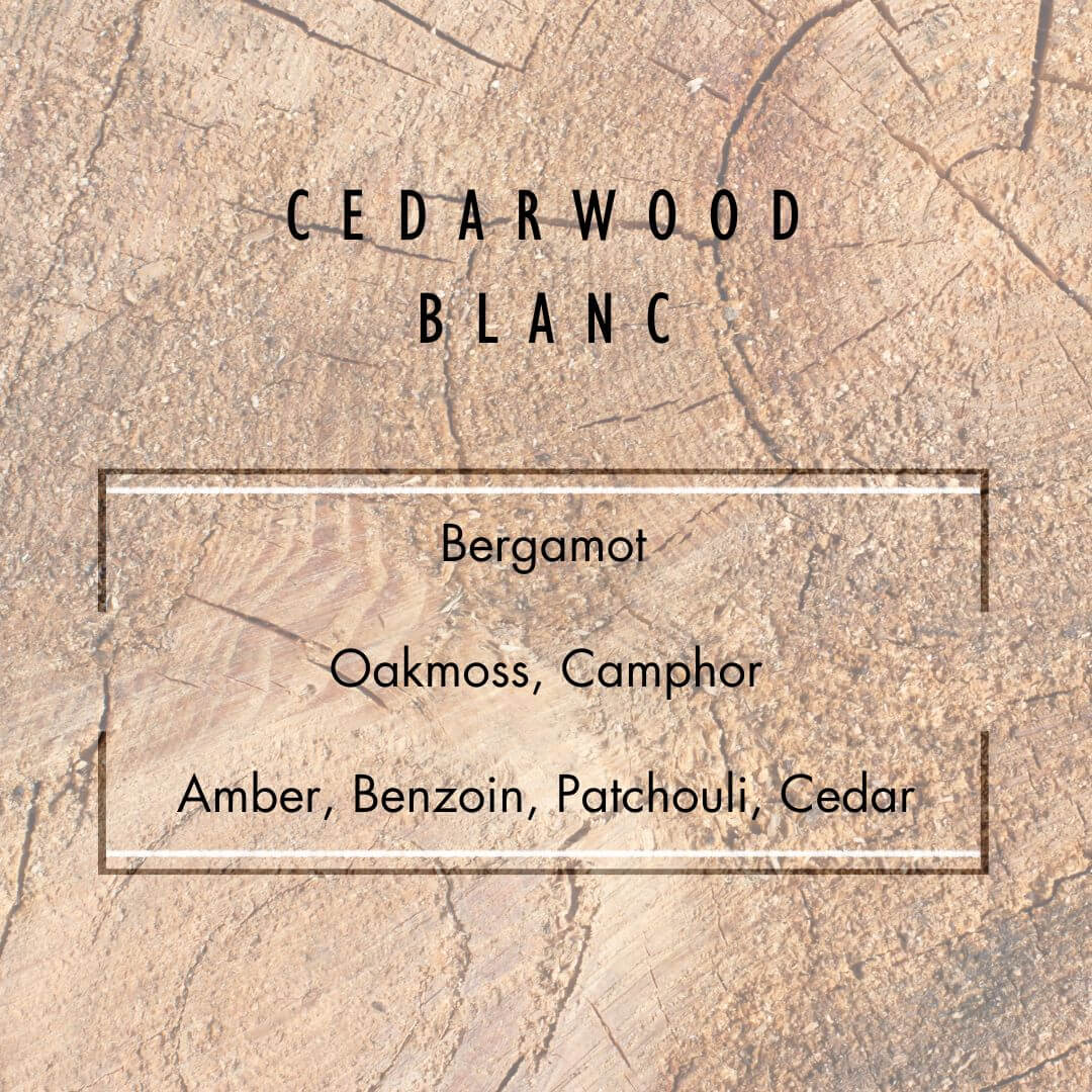 Cedarwood Blanc Reed Diffuser