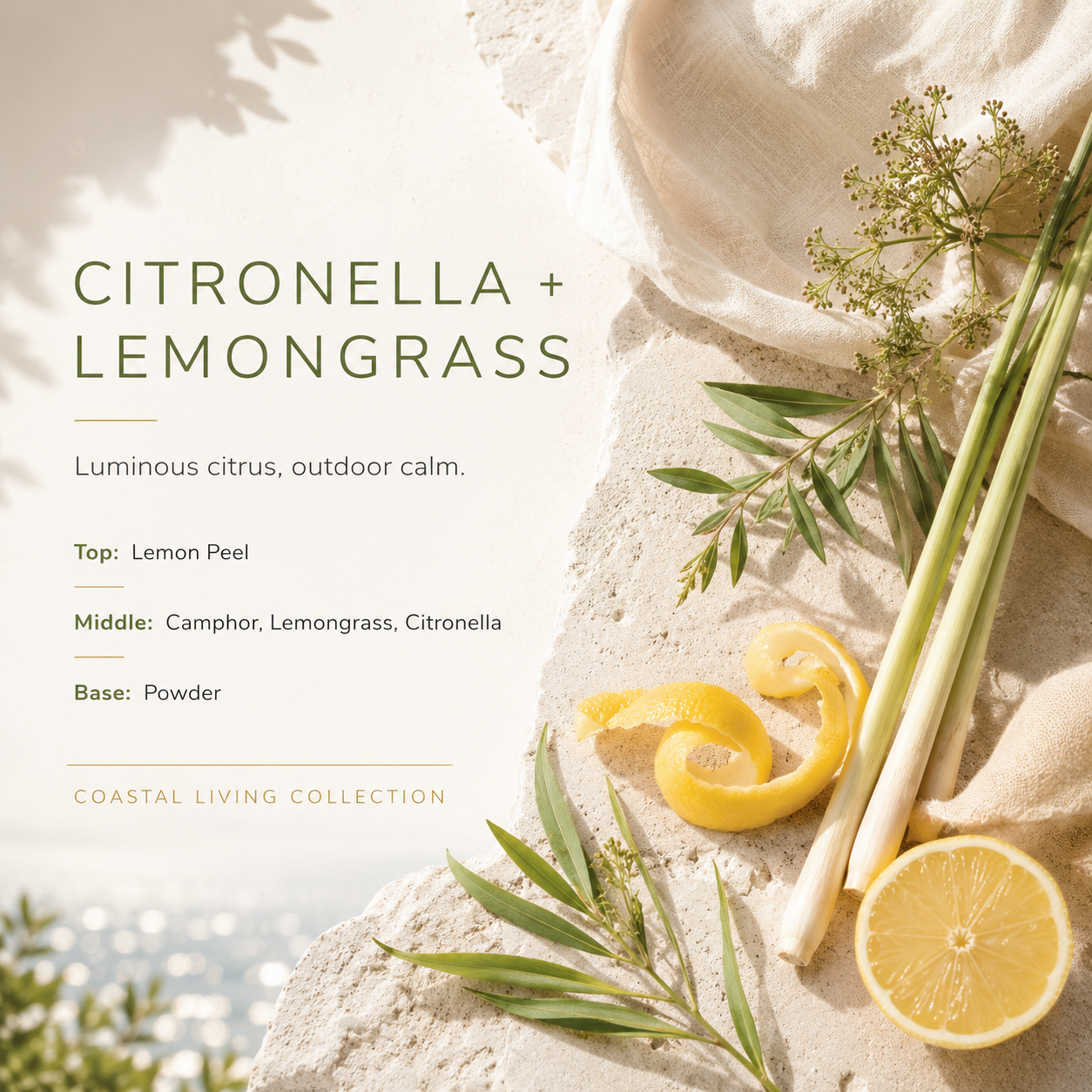 Citronella + Lemongrass Candle