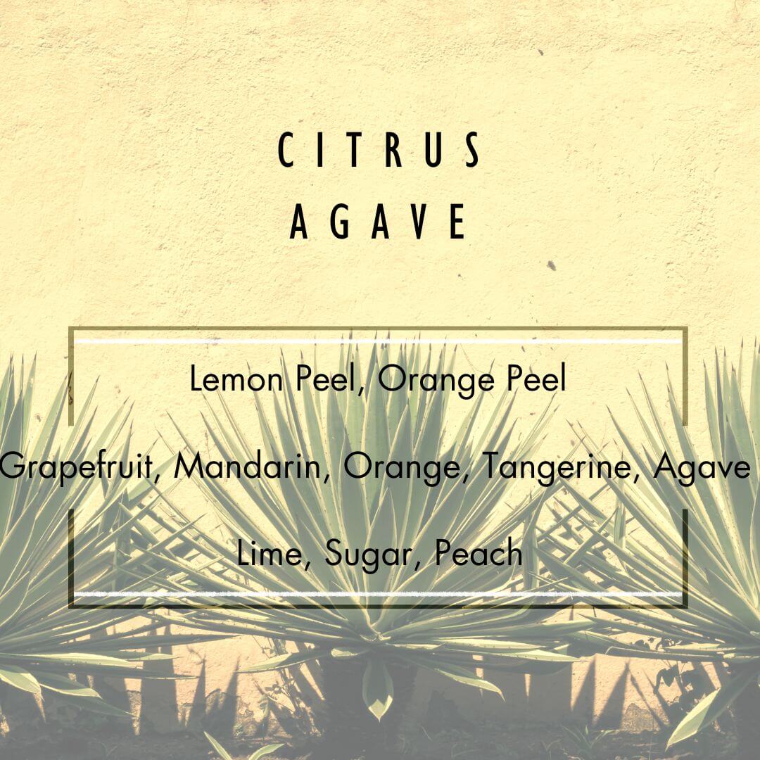 Citrus Agave Reed Diffuser