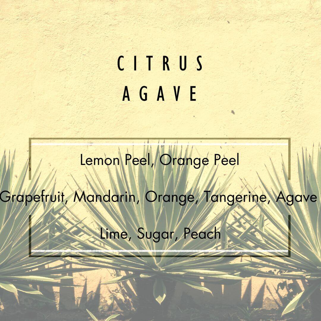 Citrus Agave Reed Diffuser  - Grand Candles LLC   
