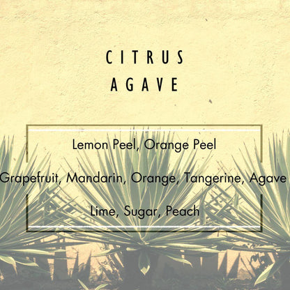 Citrus Agave Reed Diffuser