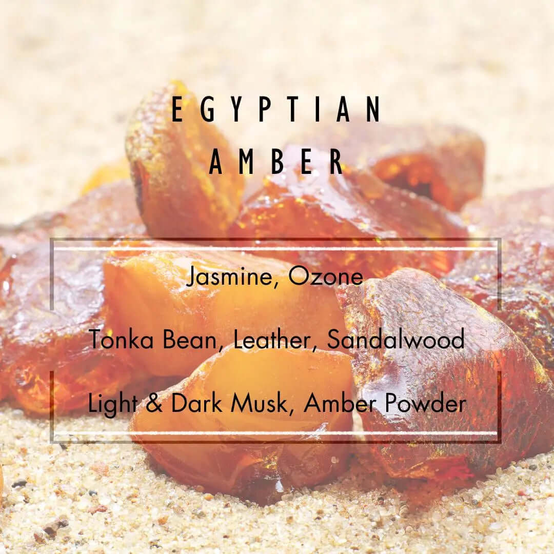 Egyptian Amber Soy Candle Grand Candles LLC