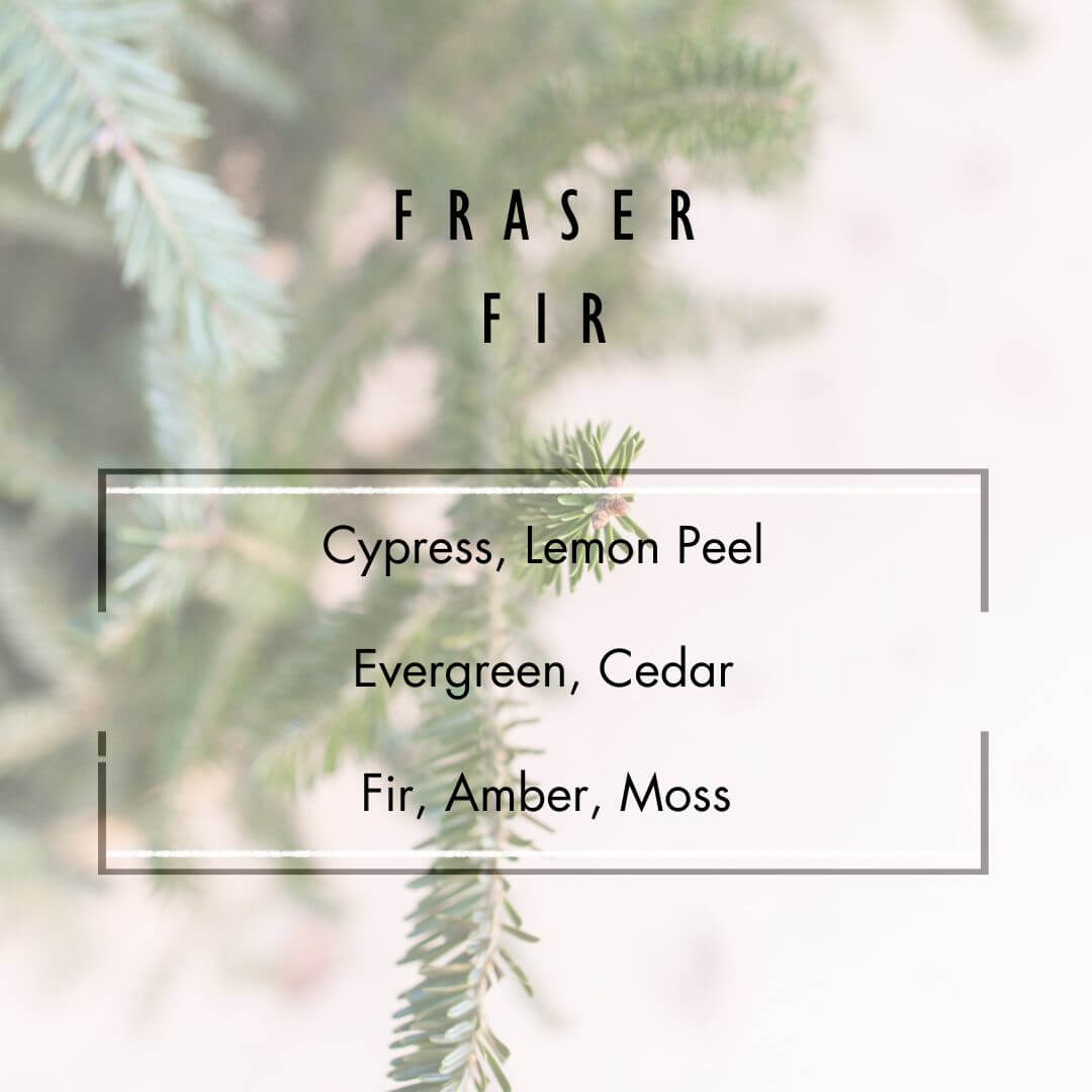 Fraser Fir Wax Melt  - Grand Candles LLC   