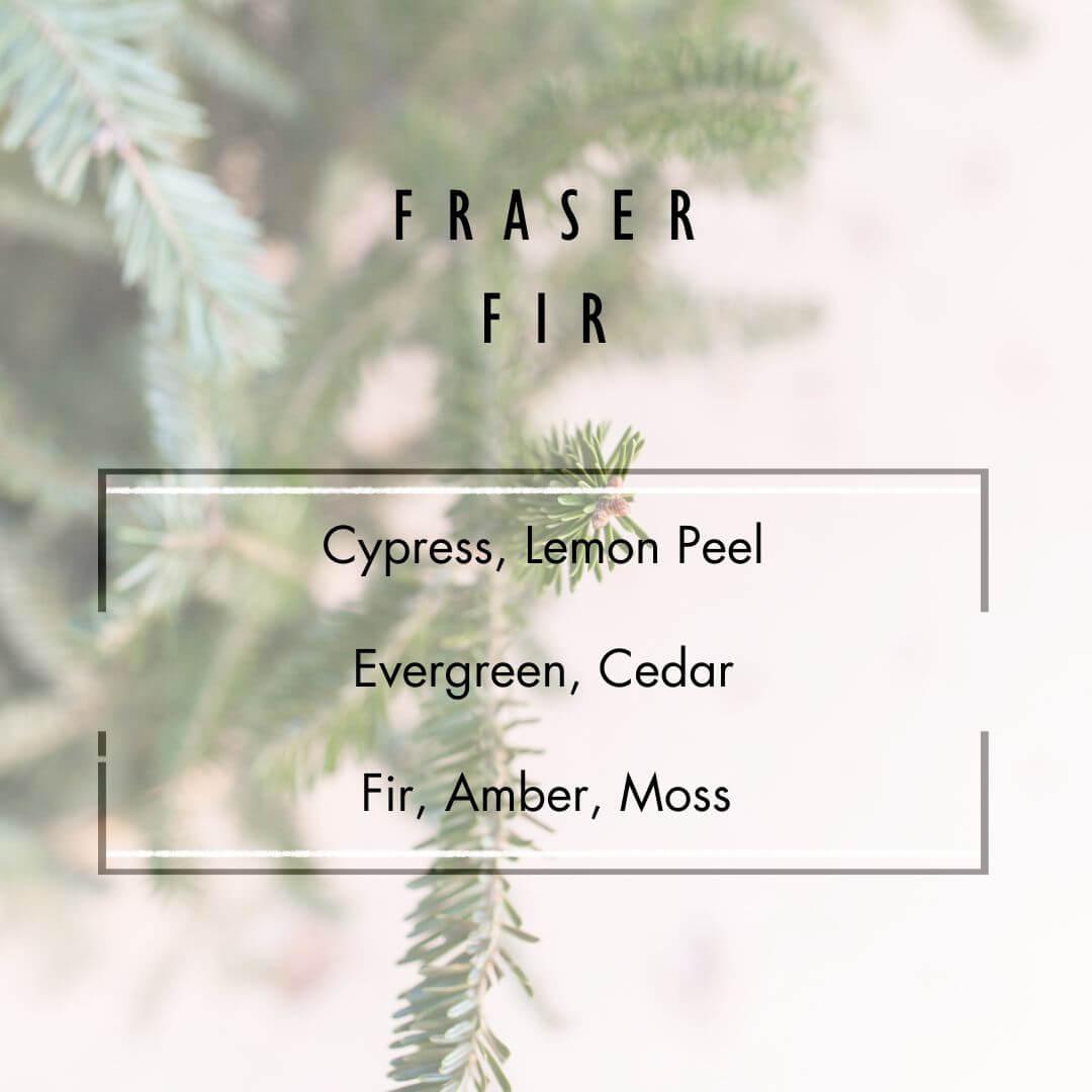 Fraser Fir Reed Diffuser  - Grand Candles LLC   