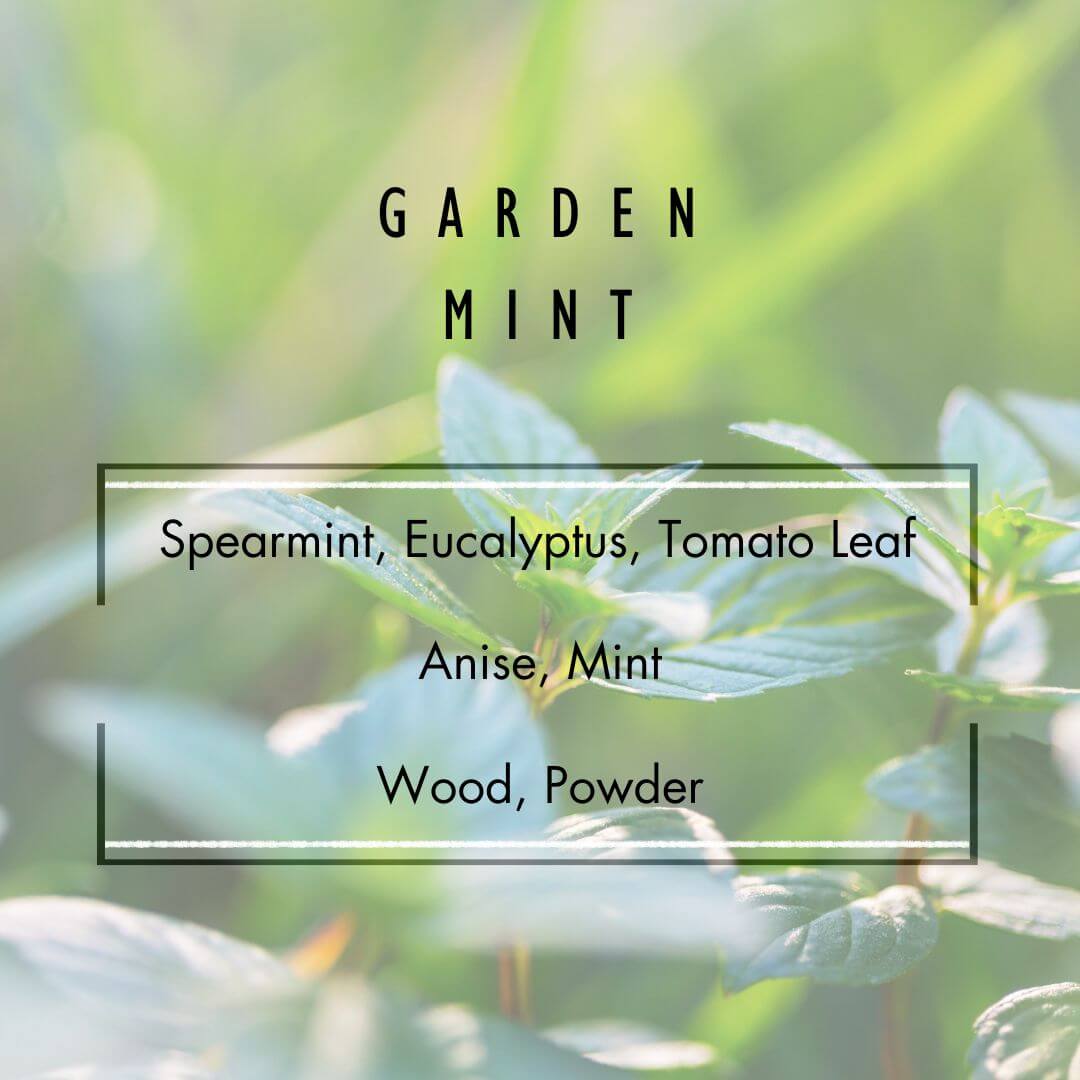 Garden Mint Reed Diffuser