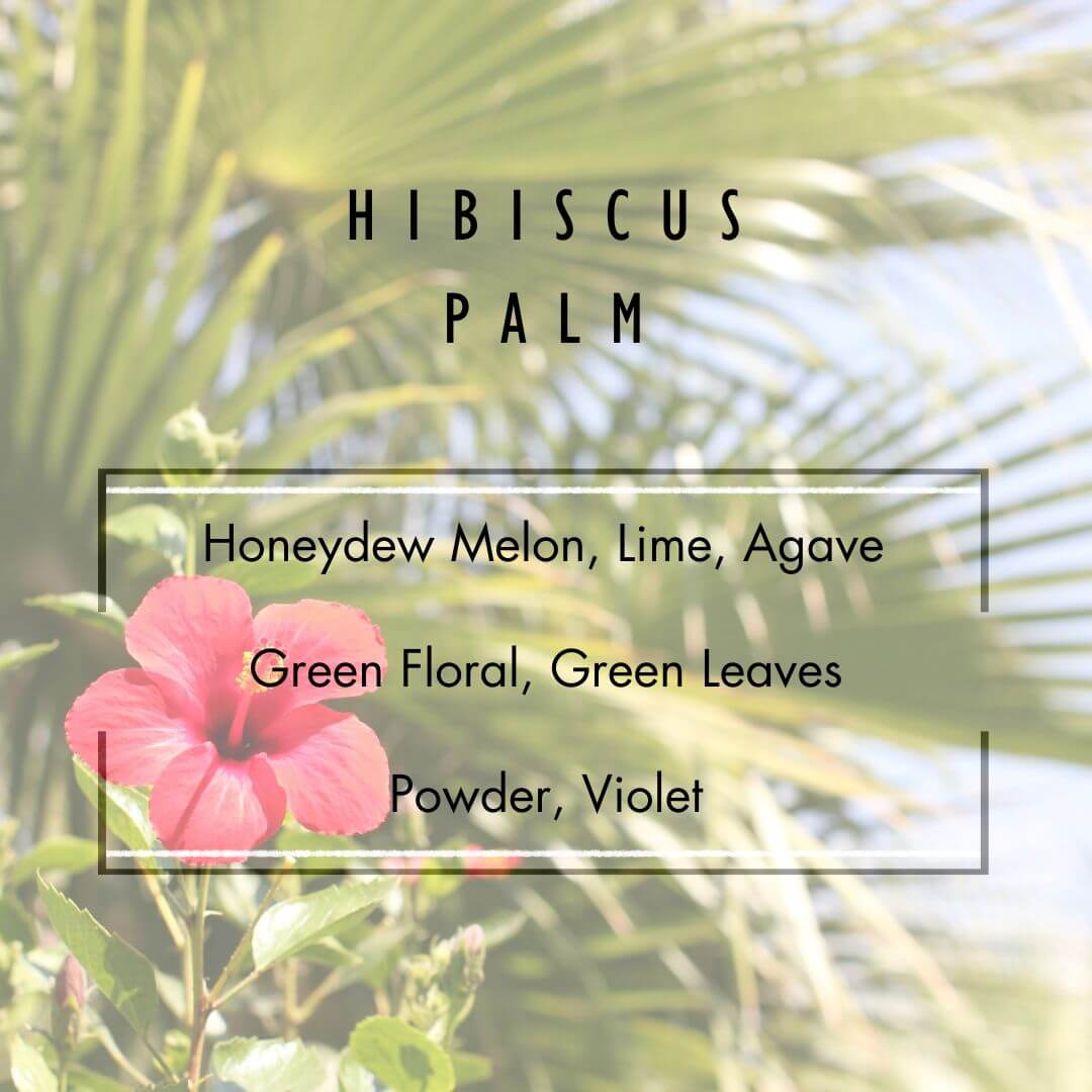 Hibiscus Palm Candle