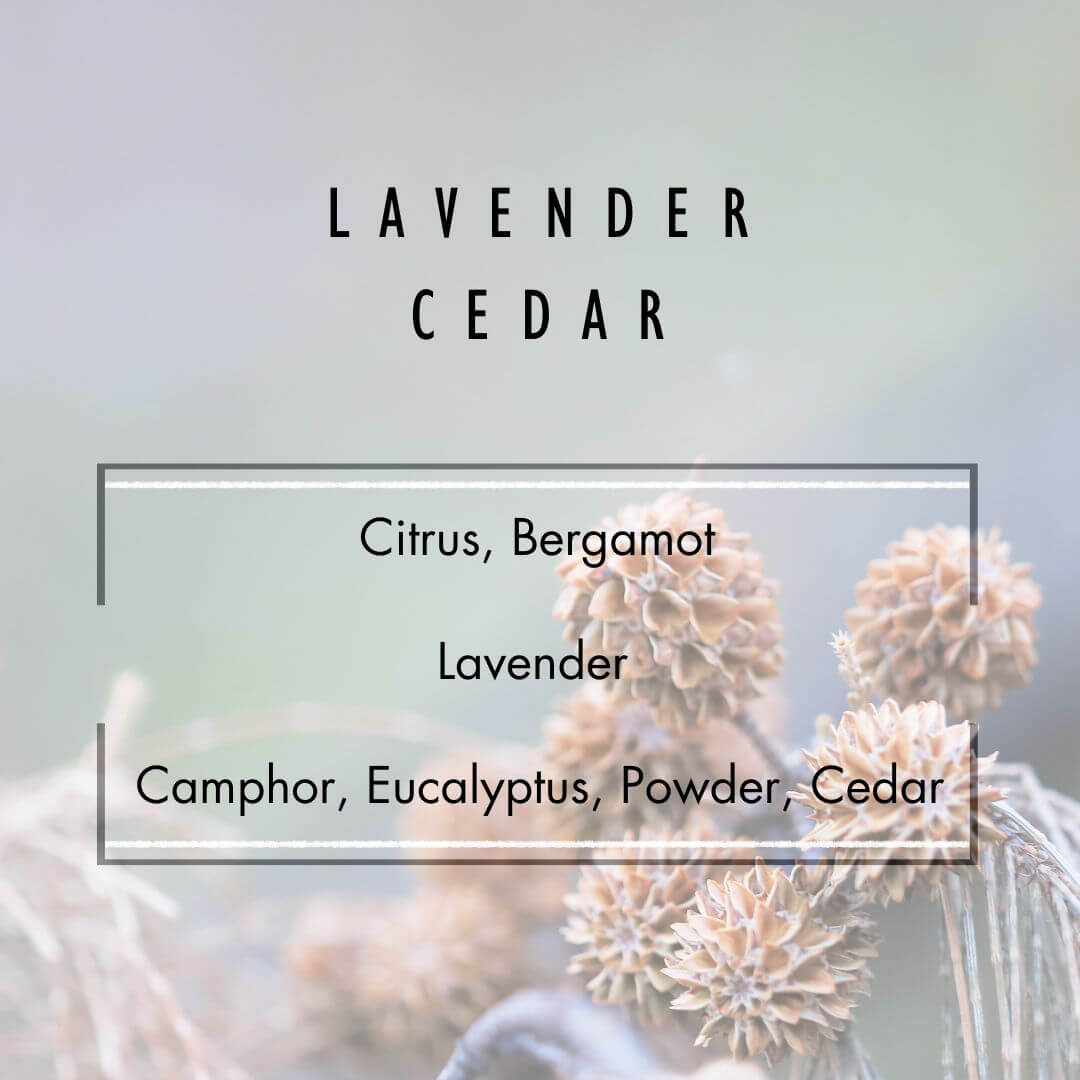 Lavender Cedar Candle