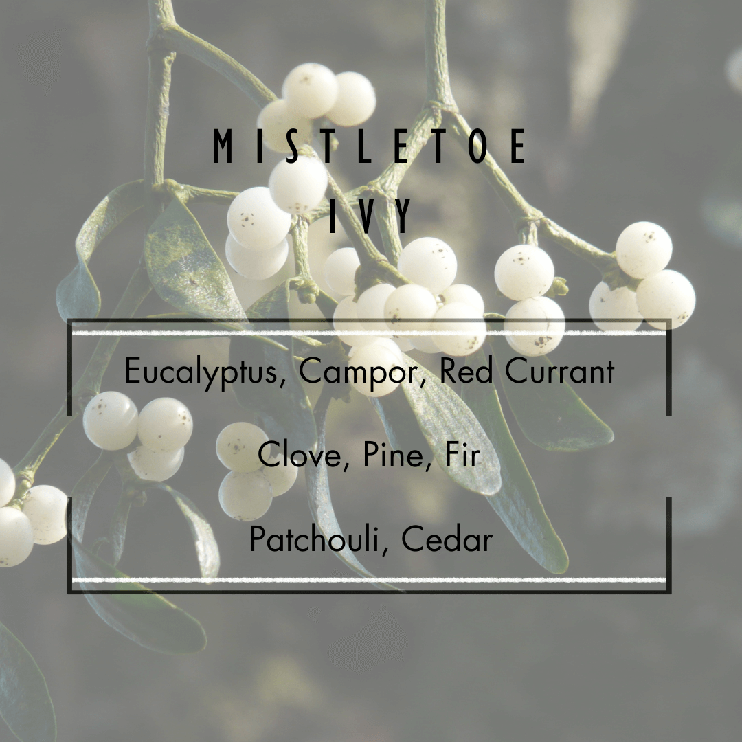Mistletoe Ivy Candle