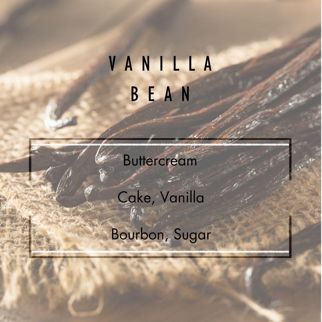 Vanilla Bean Reed Diffuser  - Grand Candles LLC   