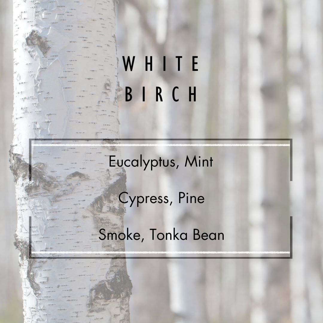 White Birch Wax Melt