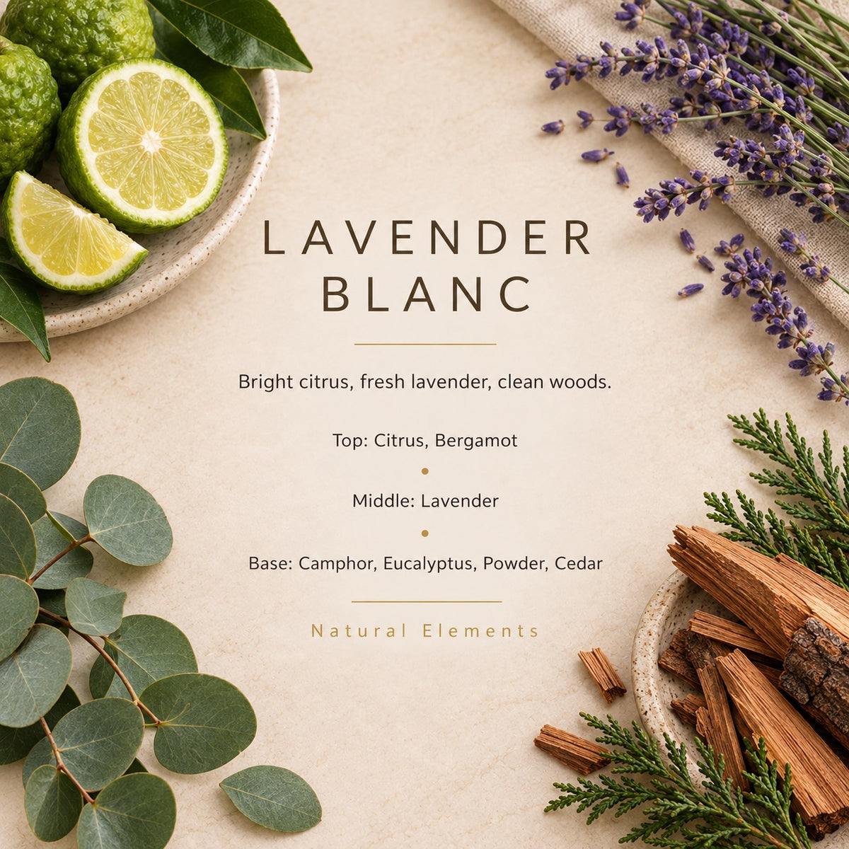 Lavender Blanc fragrance artwork — Grand Candles