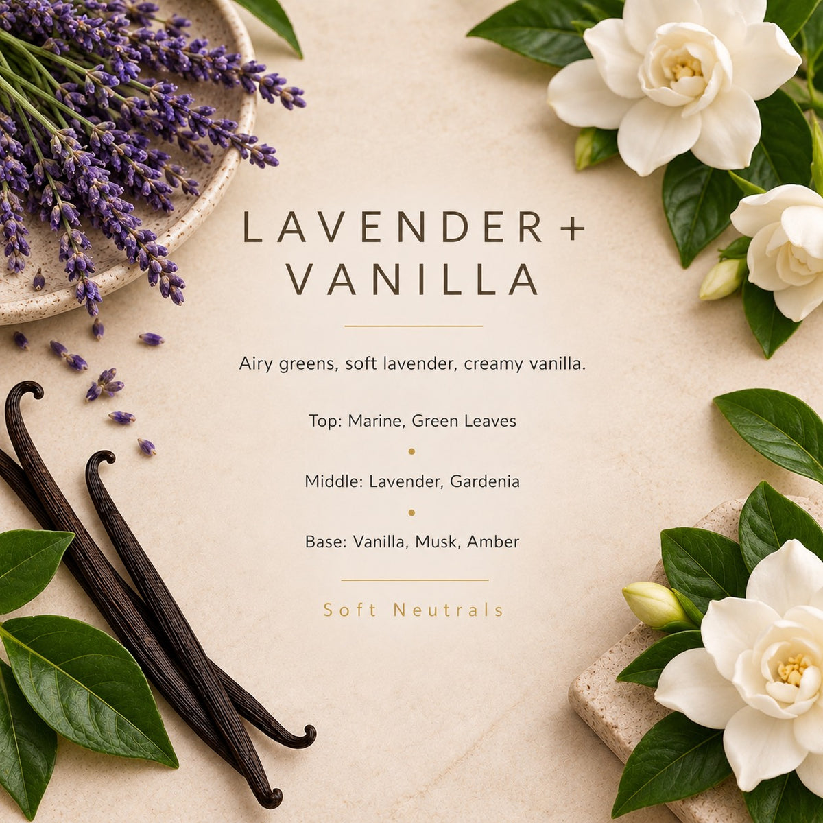 Lavender + Vanilla fragrance artwork — Grand Candles