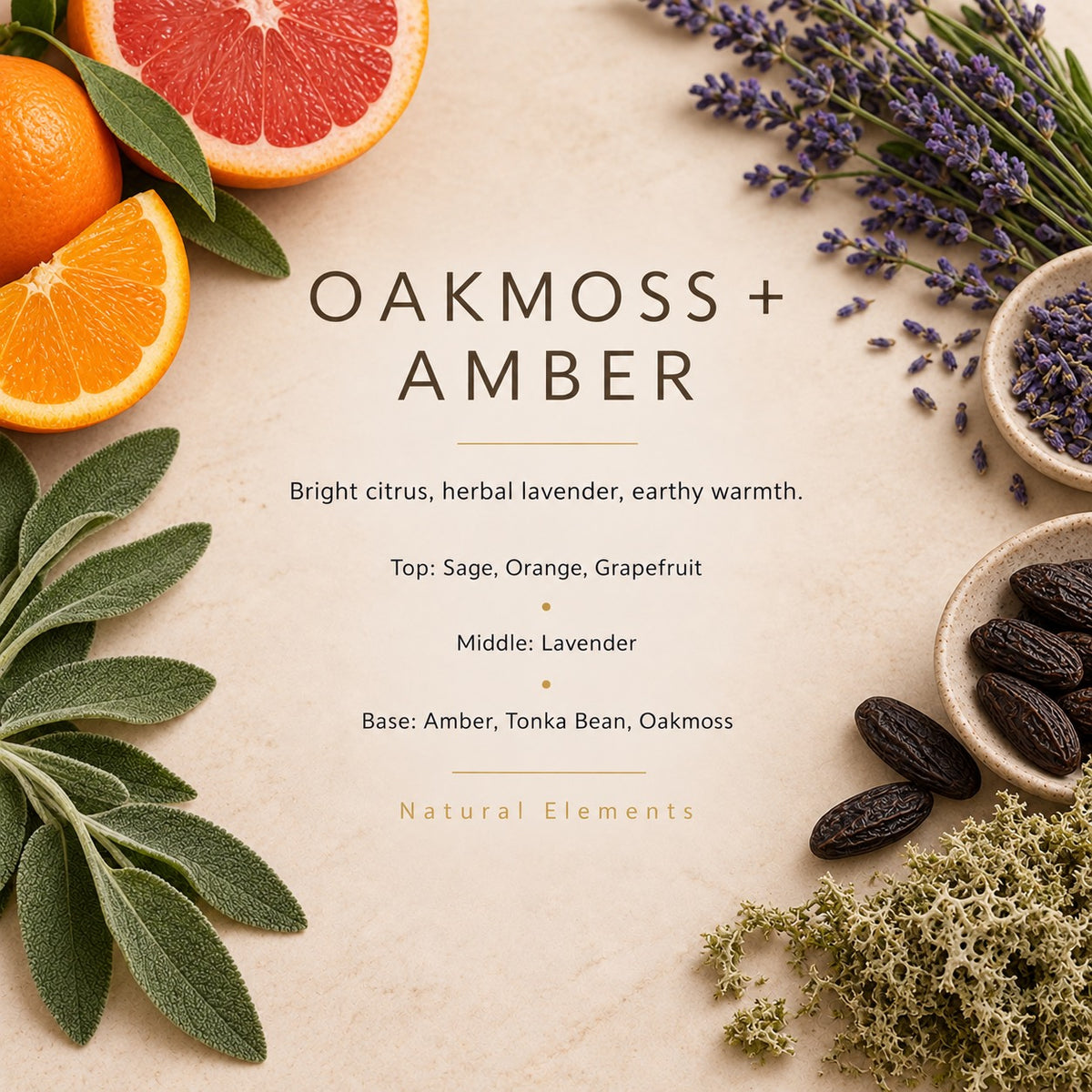 Oakmoss + Amber fragrance artwork — Grand Candles