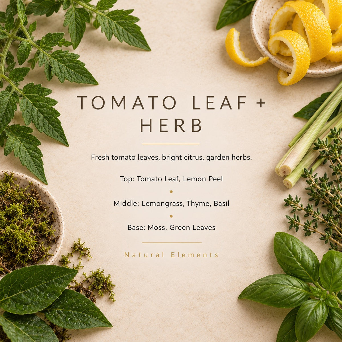 Tomato Leaf + Herb fragrance artwork — Grand Candles