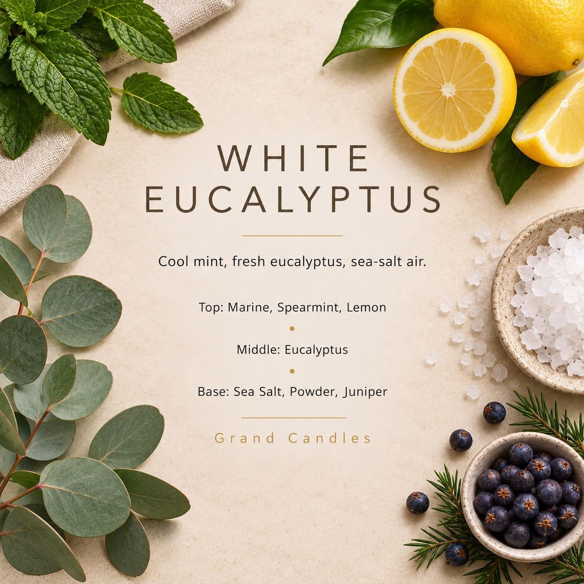 White Eucalyptus fragrance artwork — Grand Candles