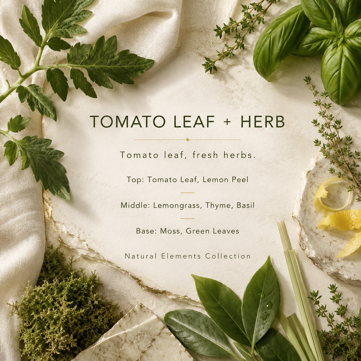 Tomato Leaf + Herb Candle